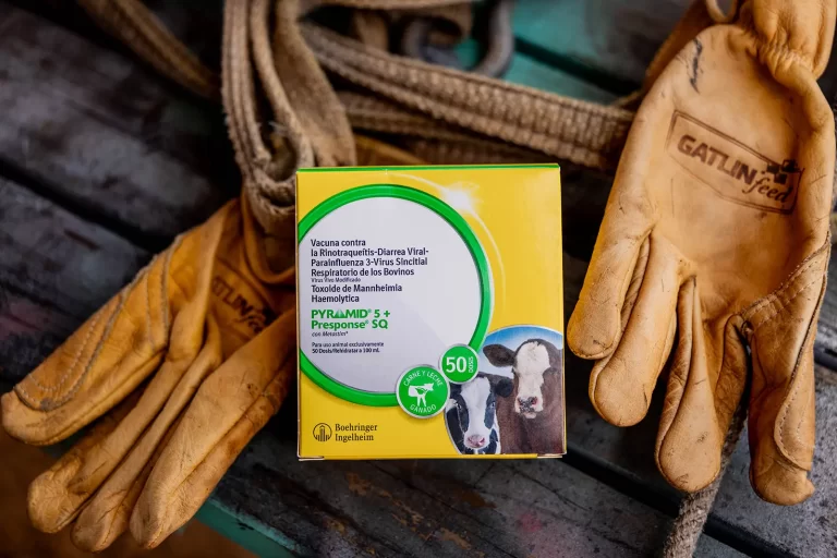 Pyramid 5 + Presponse SQ