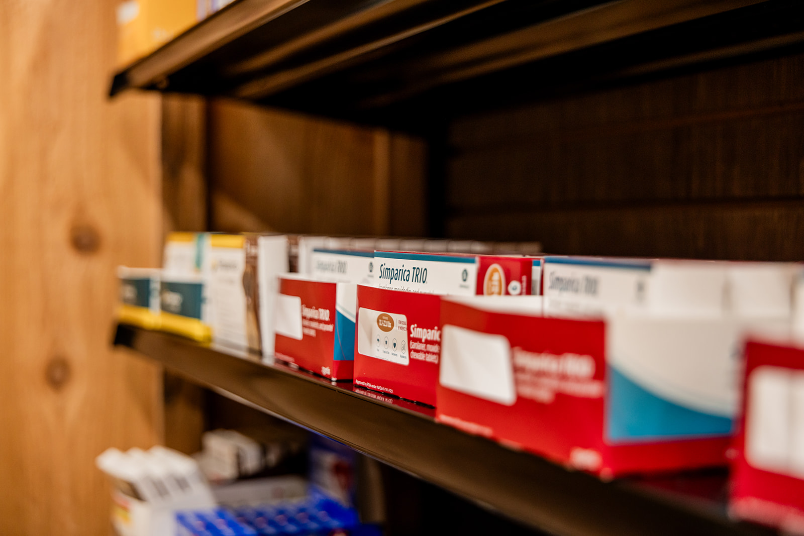 Pet Medications in Central Mississippi